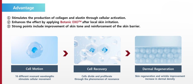 Botanic EXO - Image 6