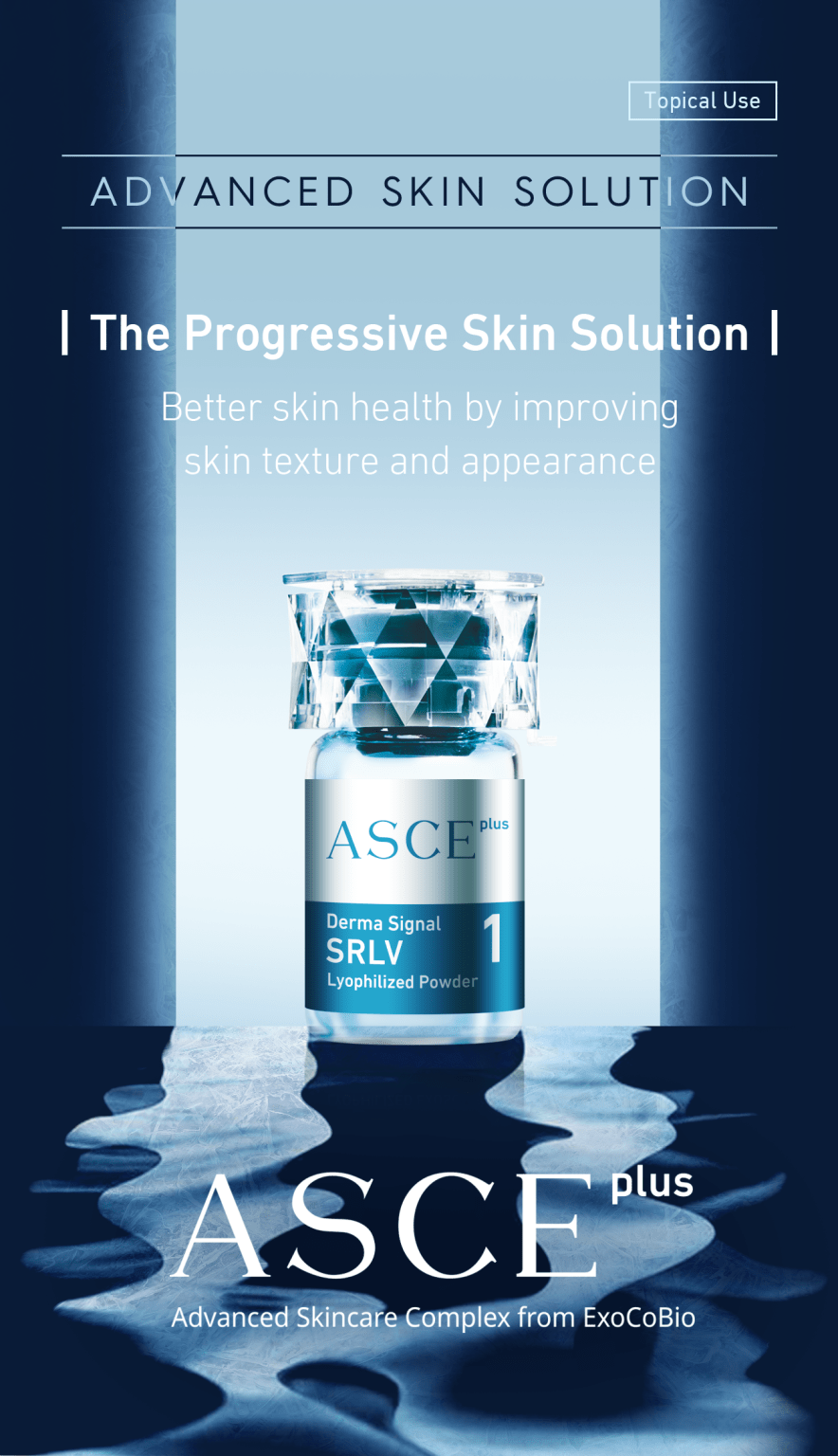 ASCE Plus SRLV - Image 3