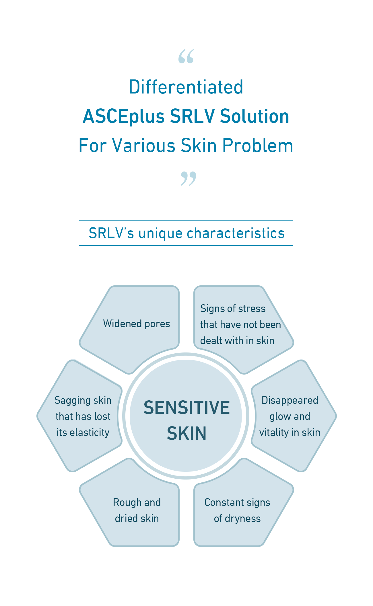 ASCE Plus SRLV - Image 4