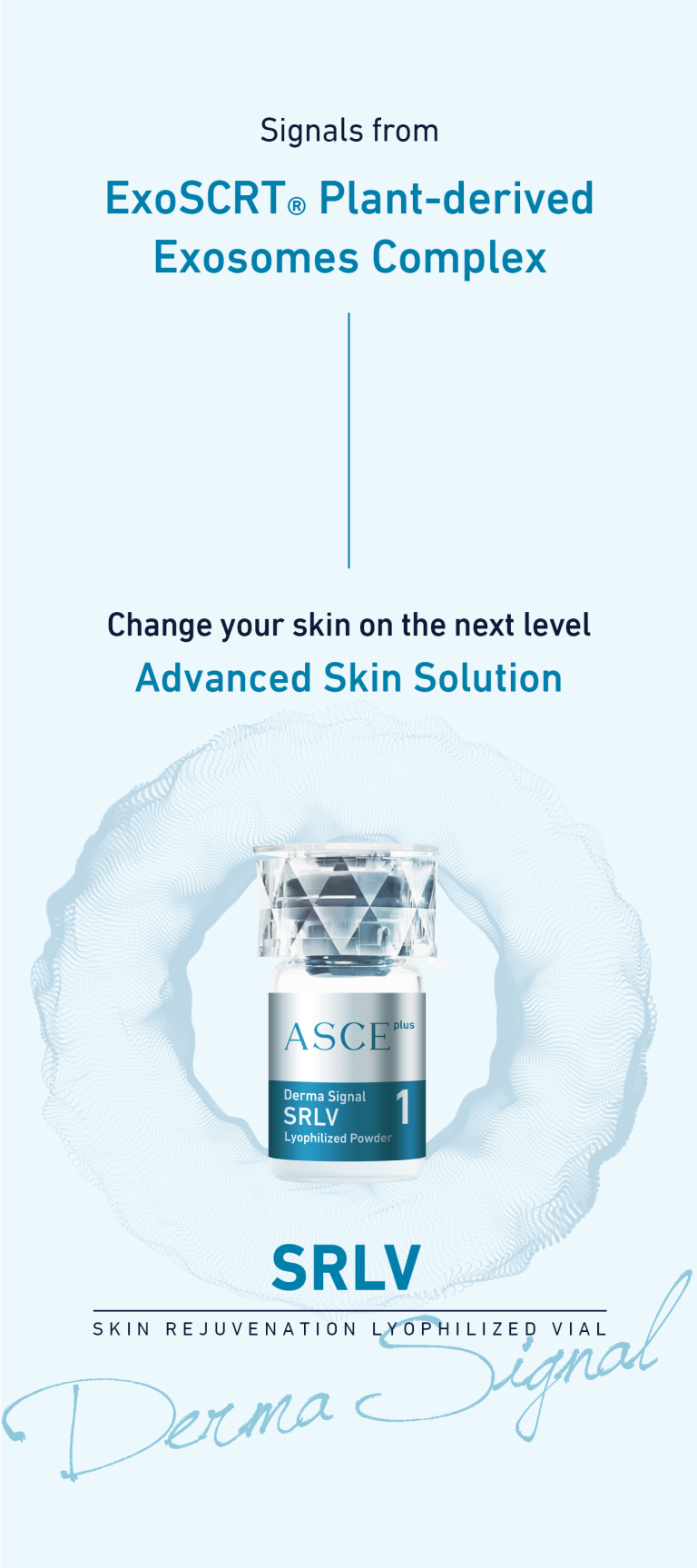 ASCE Plus SRLV - Image 5