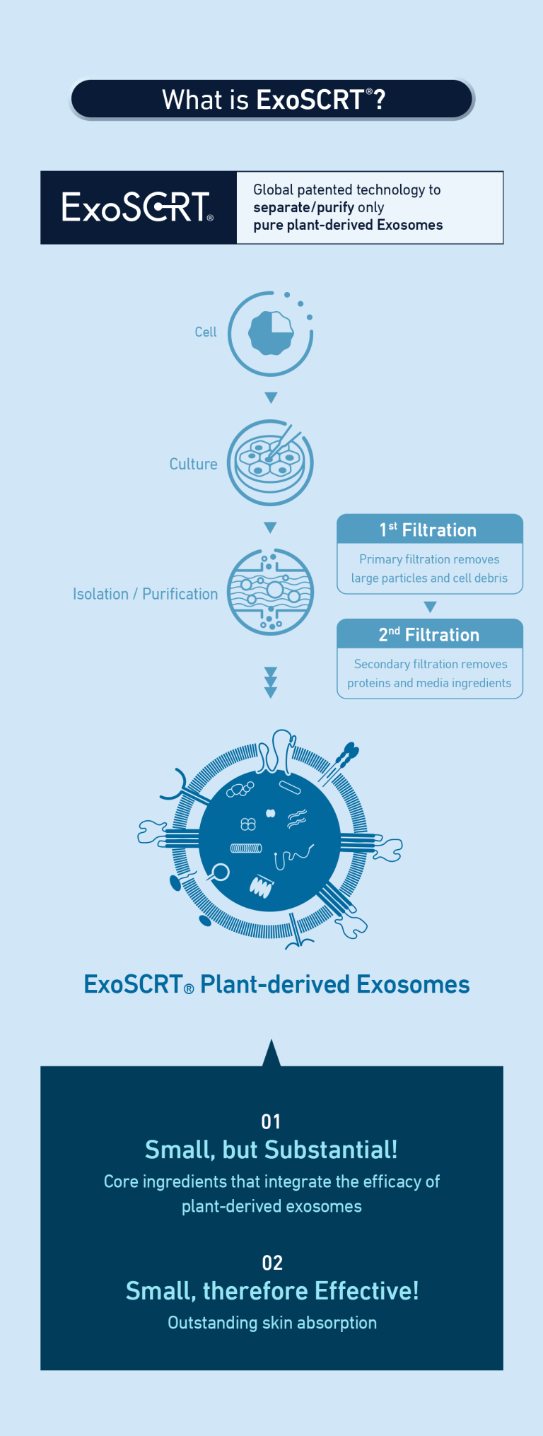 ASCE Plus SRLV - Image 7