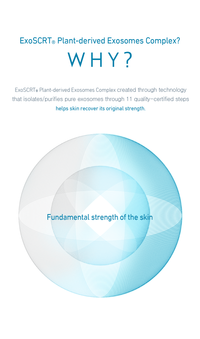 ASCE Plus SRLV - Image 9
