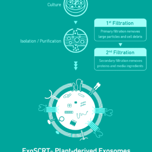 Alternative view of ASCE Plus HRLV