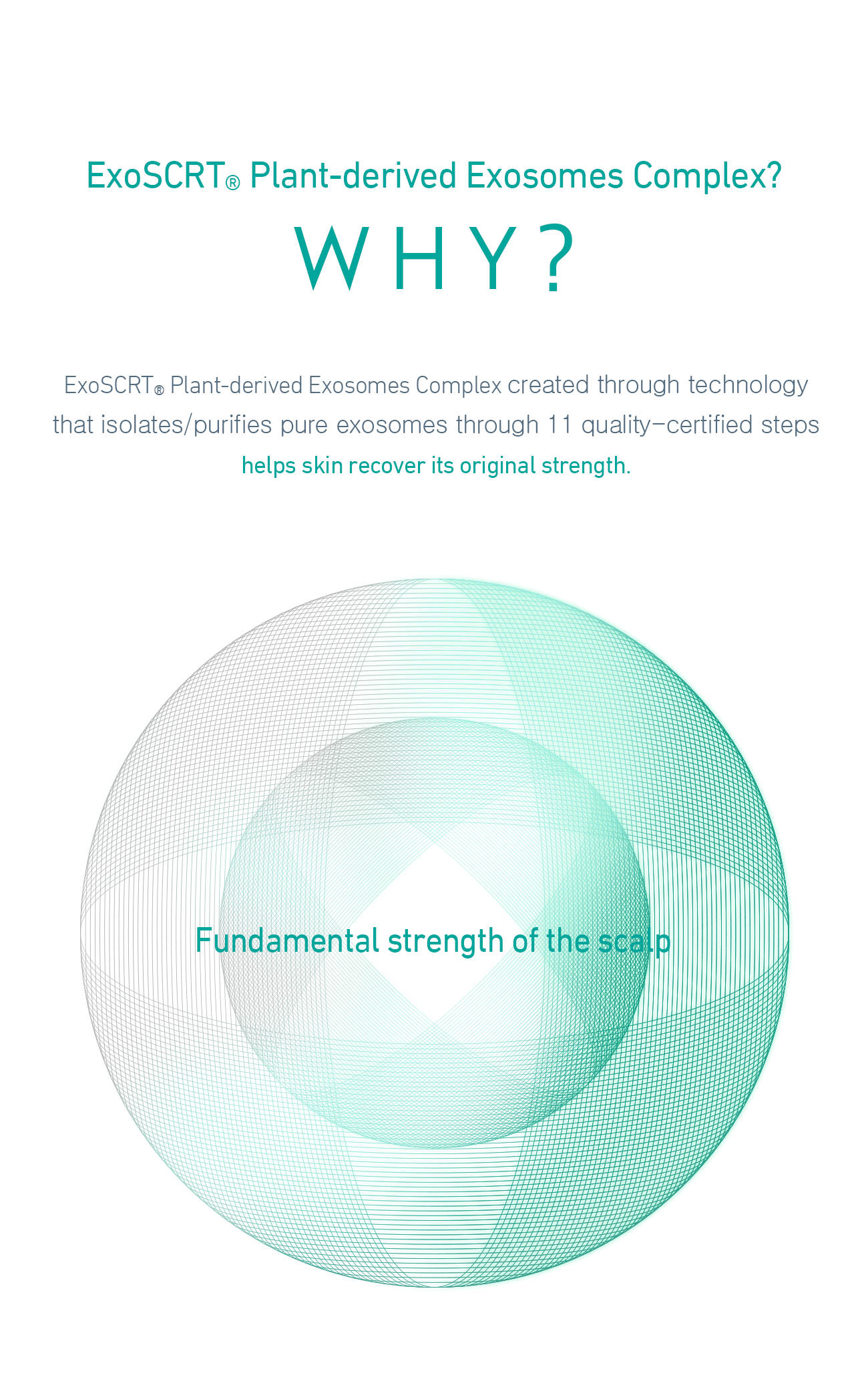 ASCE Plus HRLV - Image 4
