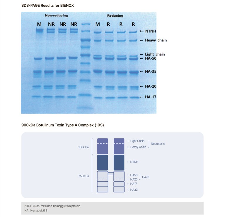 Bienox 100 units - Image 12